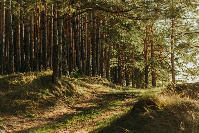 Giresun balıkçılar