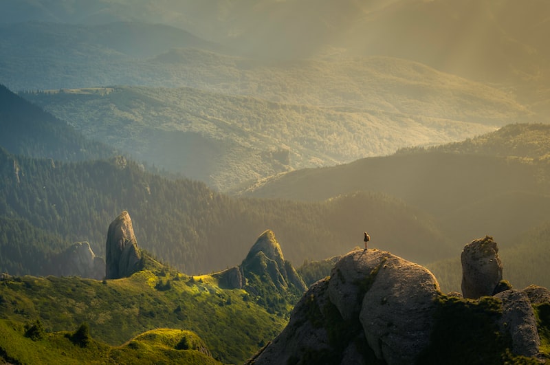 Giresun çanta